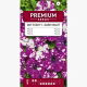 Petunia Dot Star F1 - Dark Violet