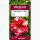 Petunia Dot Star F1 - Red