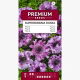 Petunia Superbissima Rosea - olbrzymie kwiaty do 16 cm