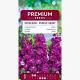 Lewkonia letnia Excelsior Purple Heart