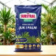 Podłoże do juk i palm z nawozem Osmocote - Substral - 5 litrów - paleta 160 szt.