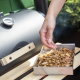 Zrębki drzewne do wędzenia i grillowania - 100% dąb - 6-8 mm - 0,45 kg