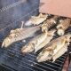 Zrębki drzewne do wędzenia i grillowania ryb - 50% olcha + 50% dąb - 6-8 mm - 0,45 kg