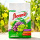 Nawóz do winorośli - duże i smaczne owoce - Florovit - 1 kg