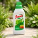 Nawóz do paproci - zdrowo wyglądające paprotki - Florovit - 500 ml