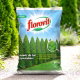 Nawóz do tui (żywotników) - szybki wzrost, intensywne wybarwienie - Florovit - 10 kg
