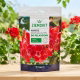 Nawóz krystaliczny do pelargonii - wspomaga tworzenie pąków kwiatowych - Ziemovit - 200 g