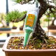 Odżywka do bonsai - Compo - dyspenser 50 x 30 ml