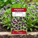 Porcelanka Penny Black