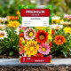 Gazania lśniąca