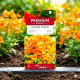 Nemezja powabna Orange Prince