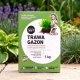 Trawa Gazon - gazonowa, reprezentacyjna, intensywnie zielona, wolnorosnąca - 1 kg