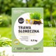 Trawa Słoneczna - na miejsca słoneczne i suche, głęboko ukorzenia się - 0,5 kg