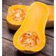 Dynia piżmowa Butternut