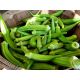 Okra, Ketmia jadalna Clemson Spineless