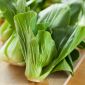 Kapusta chińska Pak-Choi