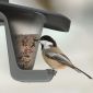 Karmnik dla ptaków z możliwością powieszenia na sznurku lub gałęzi - Birdyfeed Double - antracyt