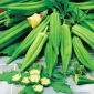 Okra, Ketmia jadalna Clemson Spineless