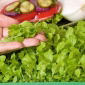 Microgreens - Sałata zielona - młode listki o unikalnym smaku