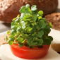 Microgreens - Jarmuż zielony - młode listki o unikalnym smaku