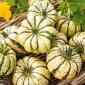 Dynia ozdobna Sweet Dumpling