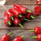 Papryka Jalapeno - bardzo ostra, czerwona