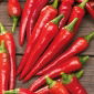 Papryka De Cayenne - ostra